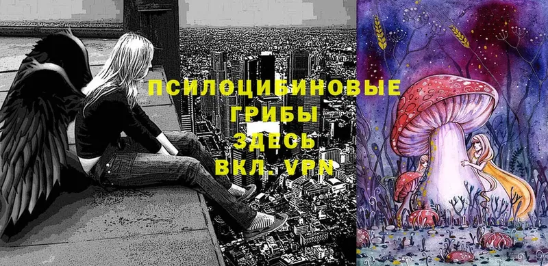 дарк нет как зайти  ОМГ ОМГ ссылки  Псилоцибиновые грибы Psilocybine cubensis  Мурманск  даркнет сайт 